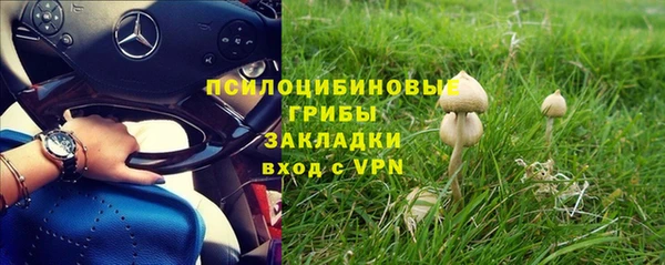 гидра Михайловка