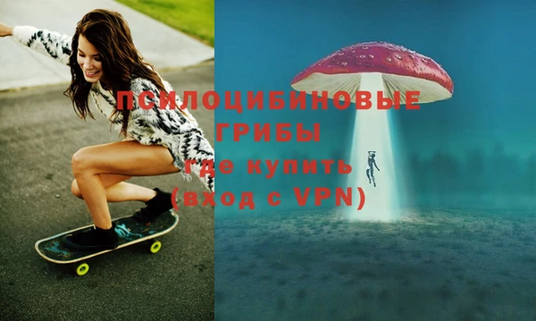 прущая мука Михайлов