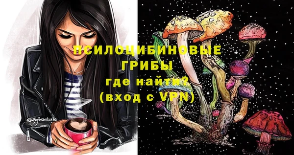 ГАЛЛЮЦИНОГЕННЫЕ ГРИБЫ Медвежьегорск