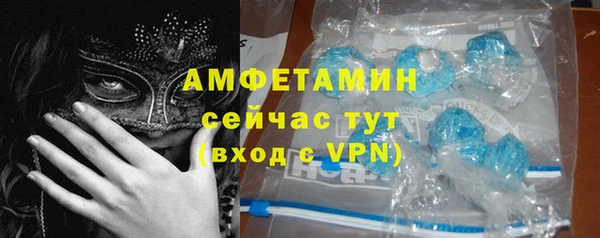 гидра Михайловка