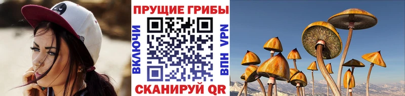 KRAKEN ссылки магазин продажи Рязань Галлюциногенные грибы Cubensis