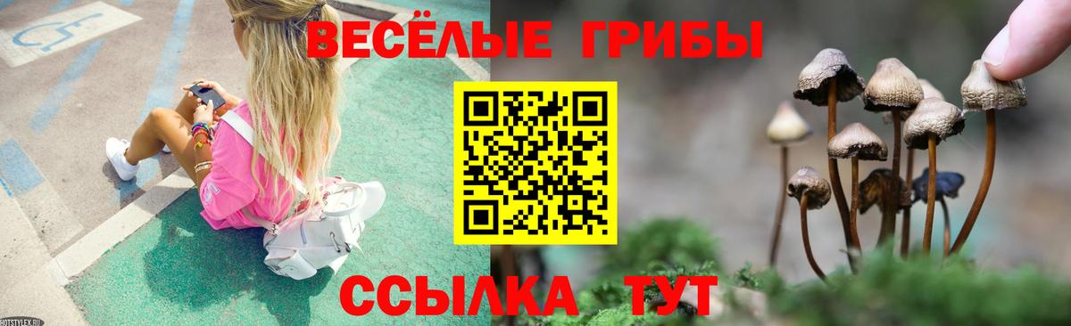 Псилоцибиновые грибы Psilocybe Рязань
